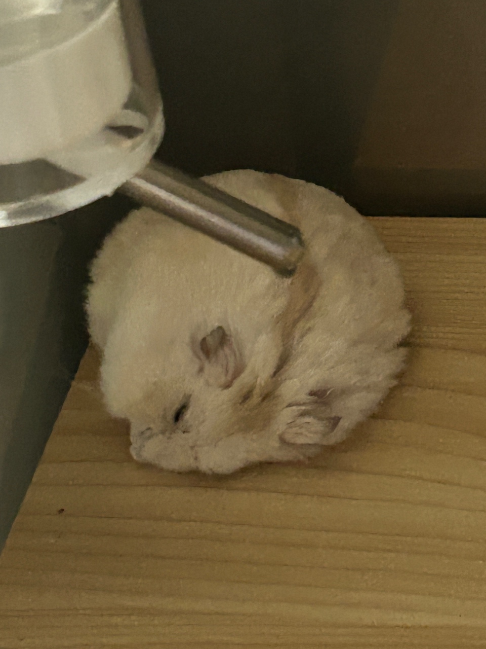 행복한 주말 보내세요 :)