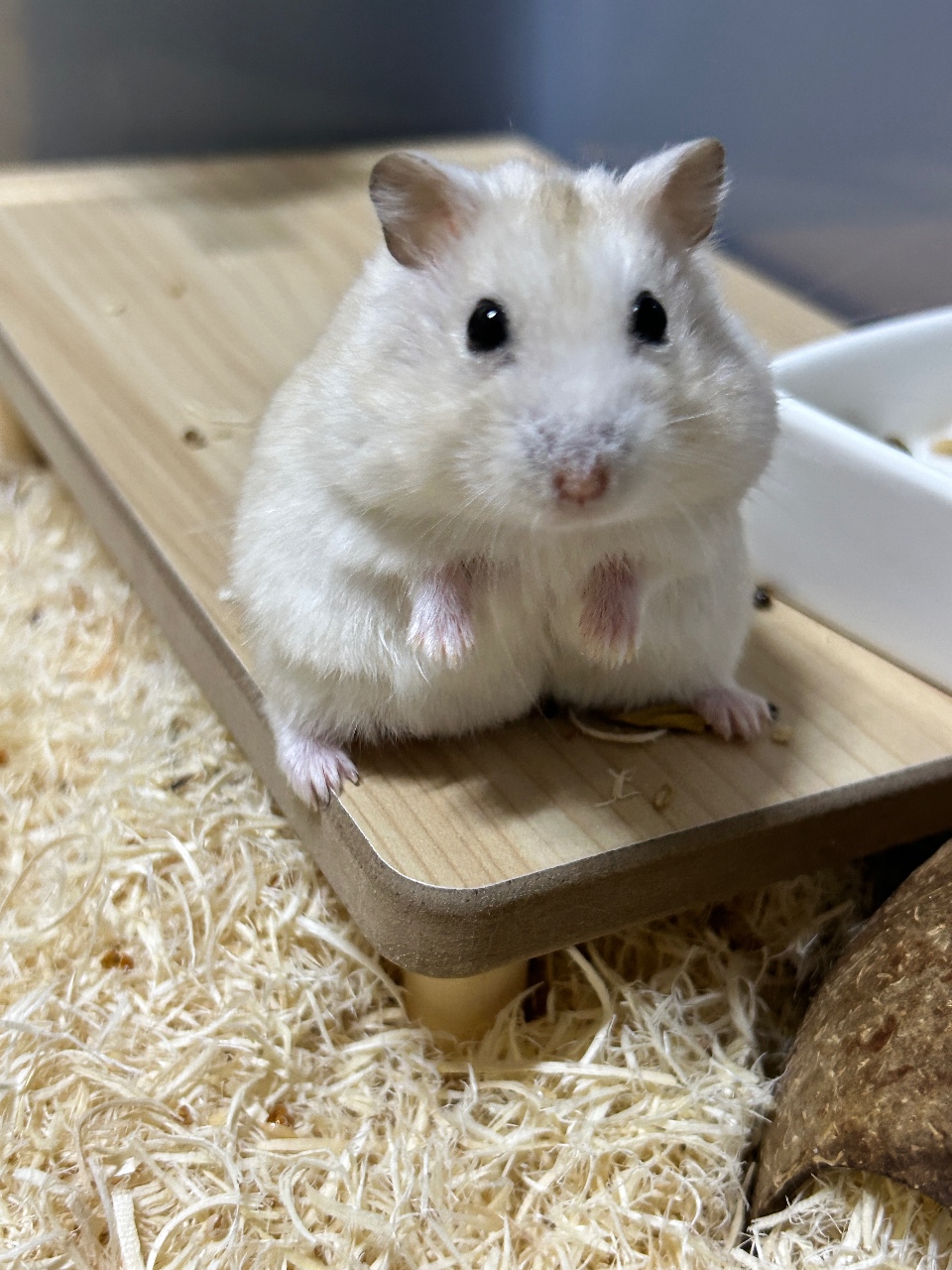 오늘도 화이팅요!