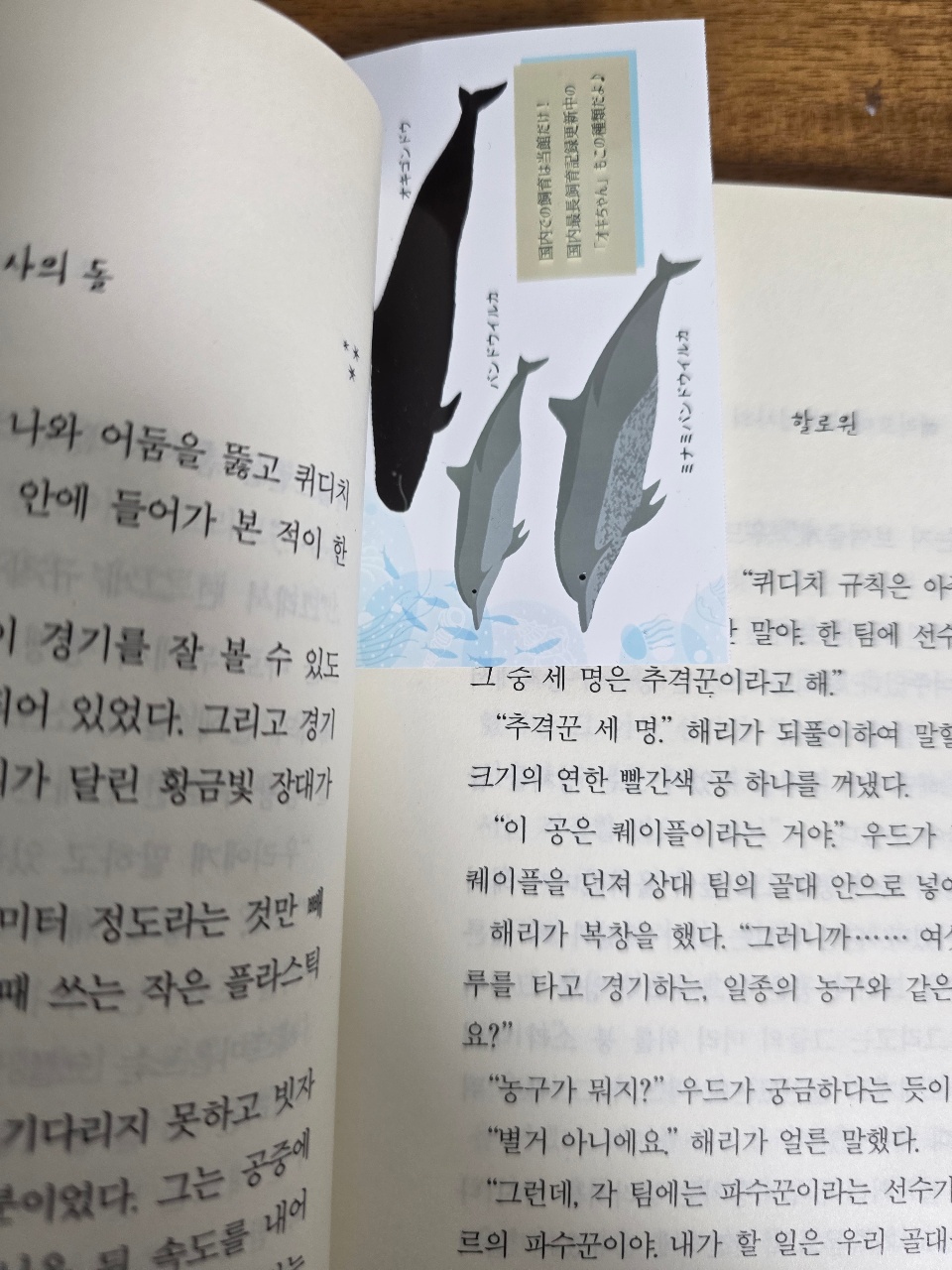 책갈피
