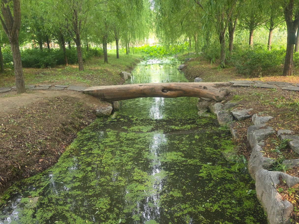 산책