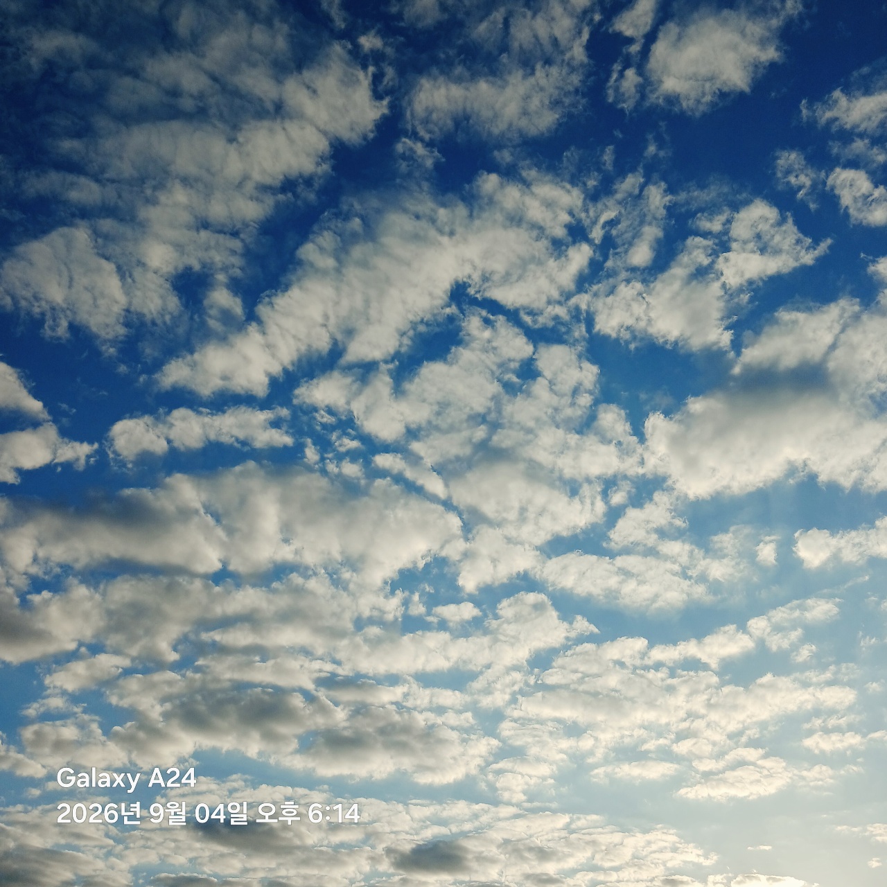 Autumin Sky