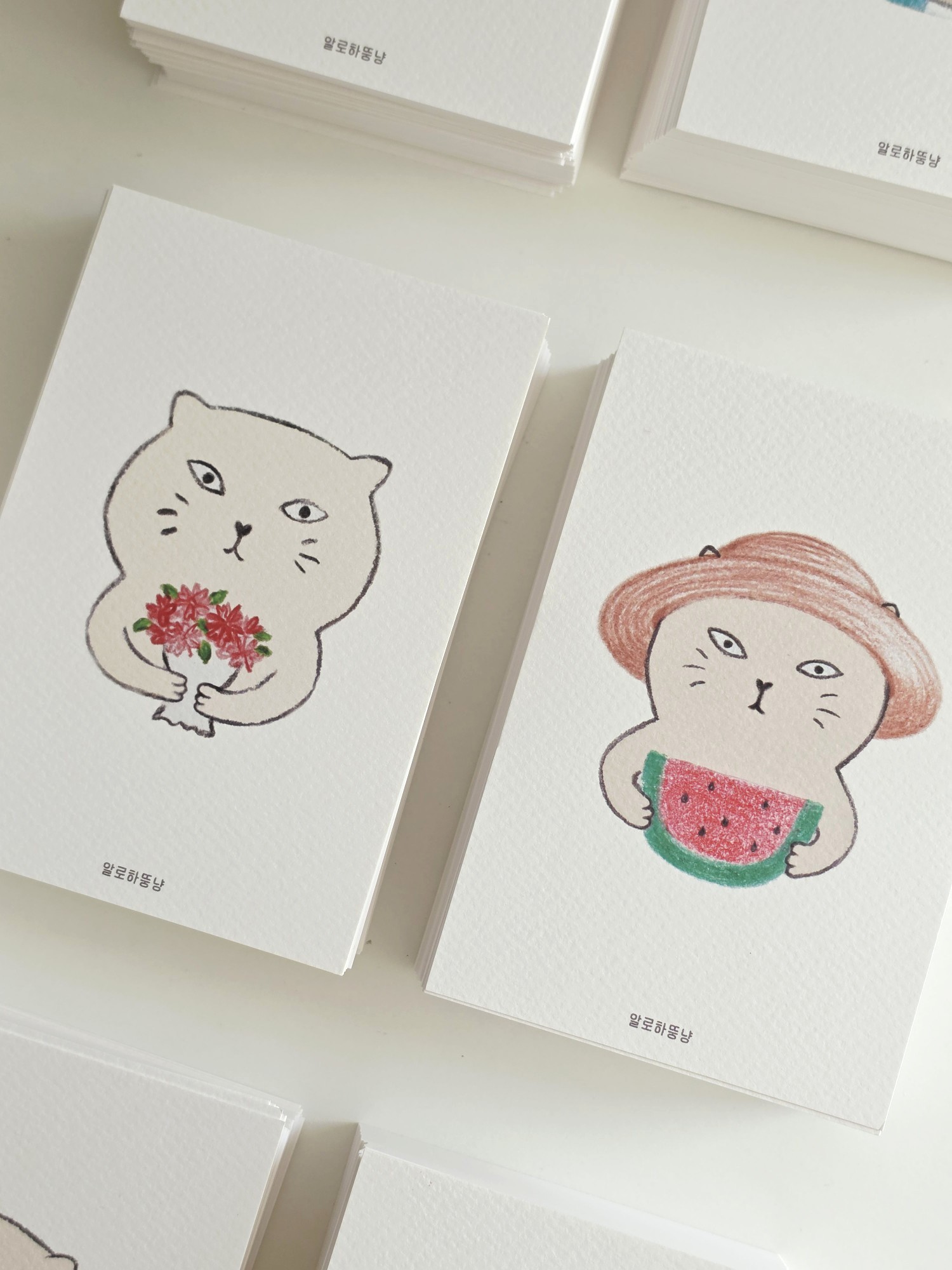 알뚱 엽서 도착💌 하우스 아카이브 D-13