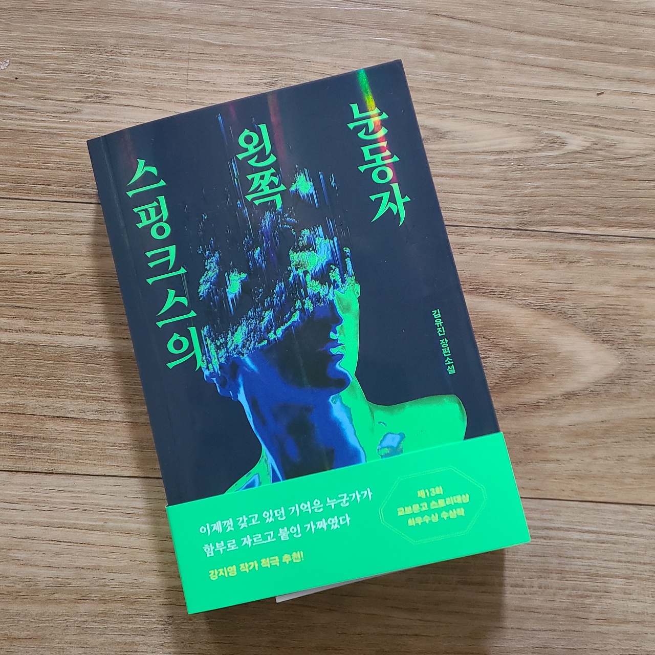 스핑크스의 왼쪽 눈동자