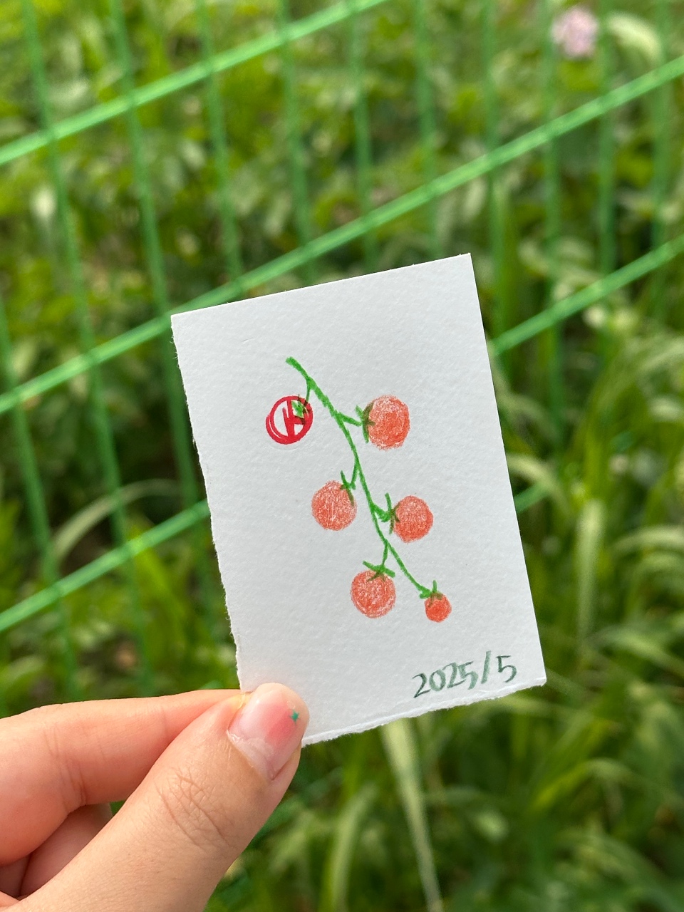 투표인증 용지 만들기 🍅