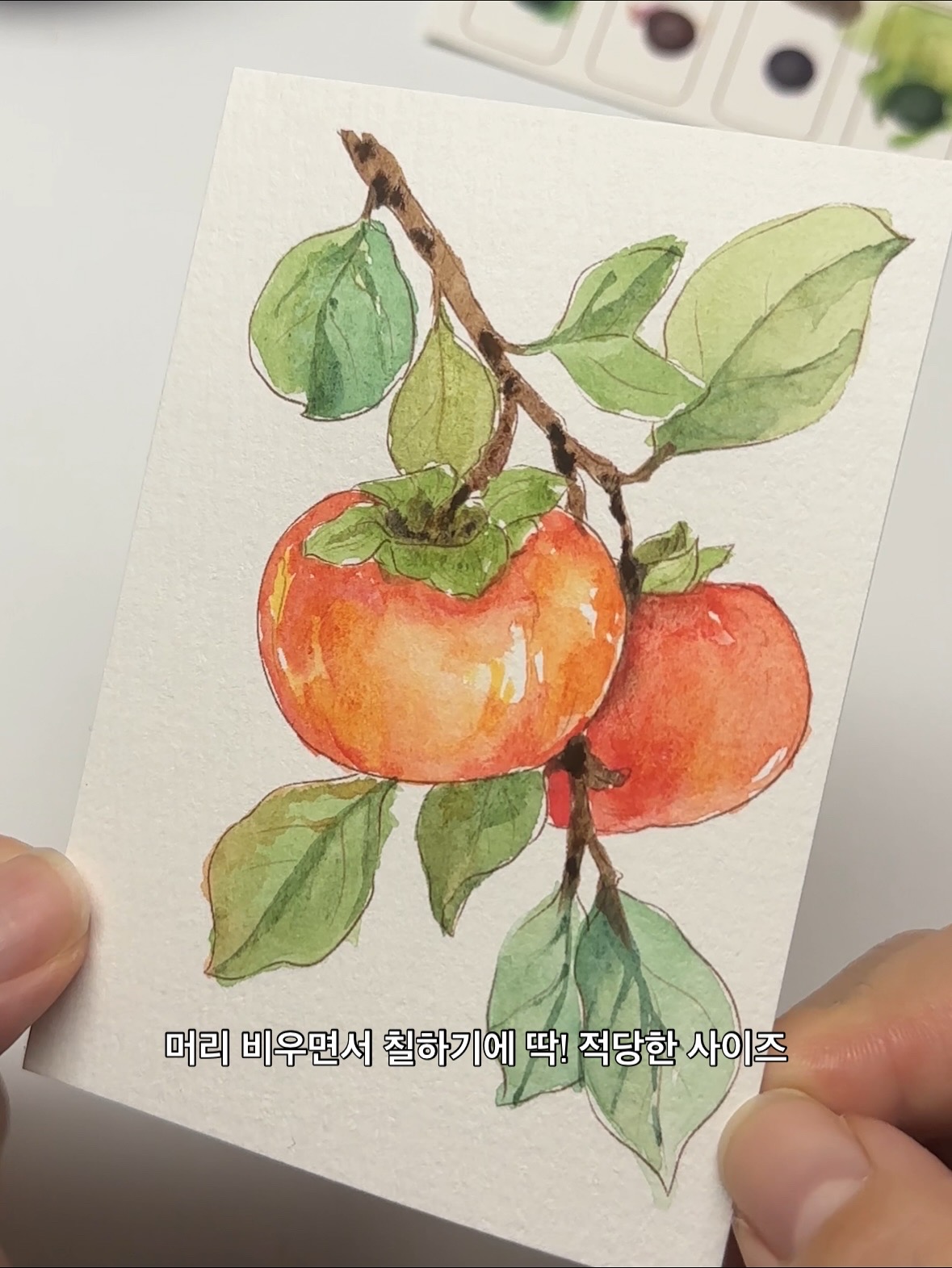 신기한 수채화 키트 🎨👨‍🎨