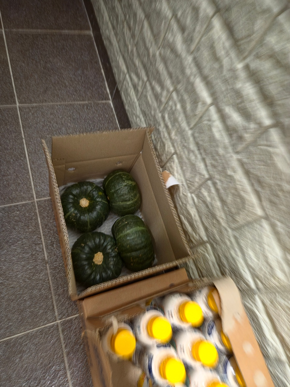 단호박 구매!