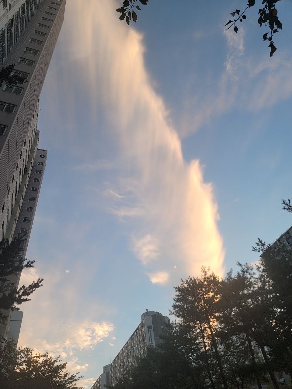 오랜만의 하늘 사진
