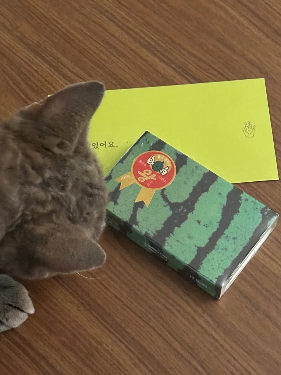 호기심에 응모해본