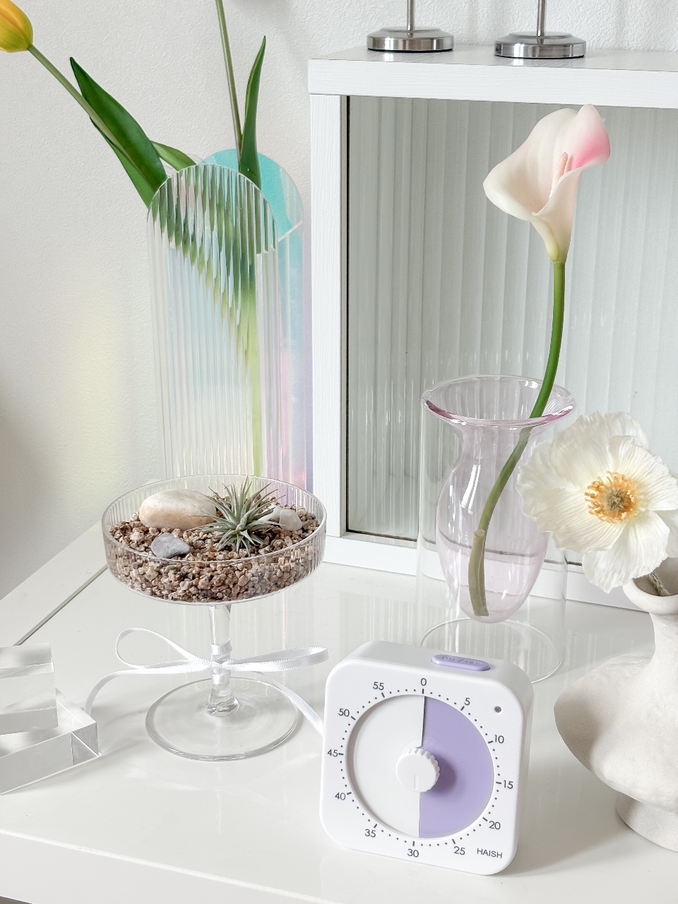 초보 식집사! 키우기 쉬운 이오난사🌿