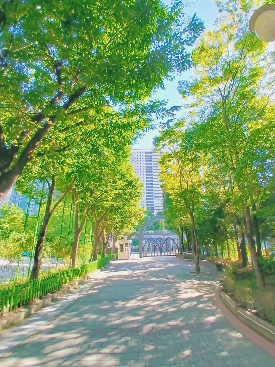 풍경