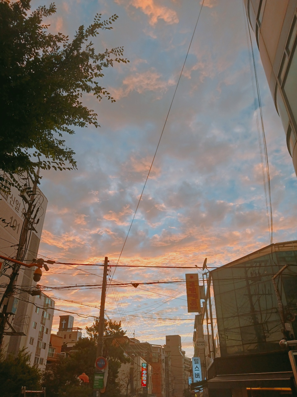 풍경