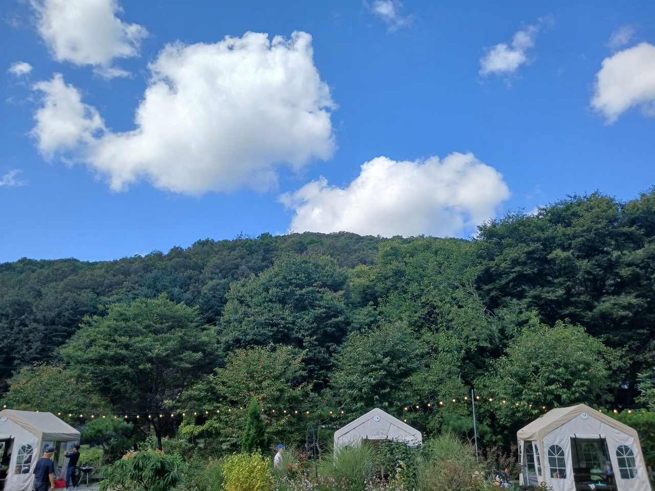 풍경