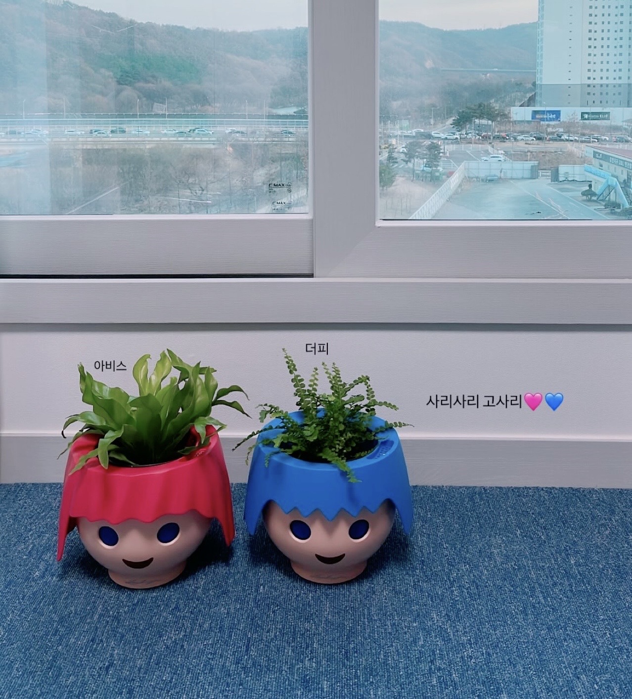 초보 식집사🌿