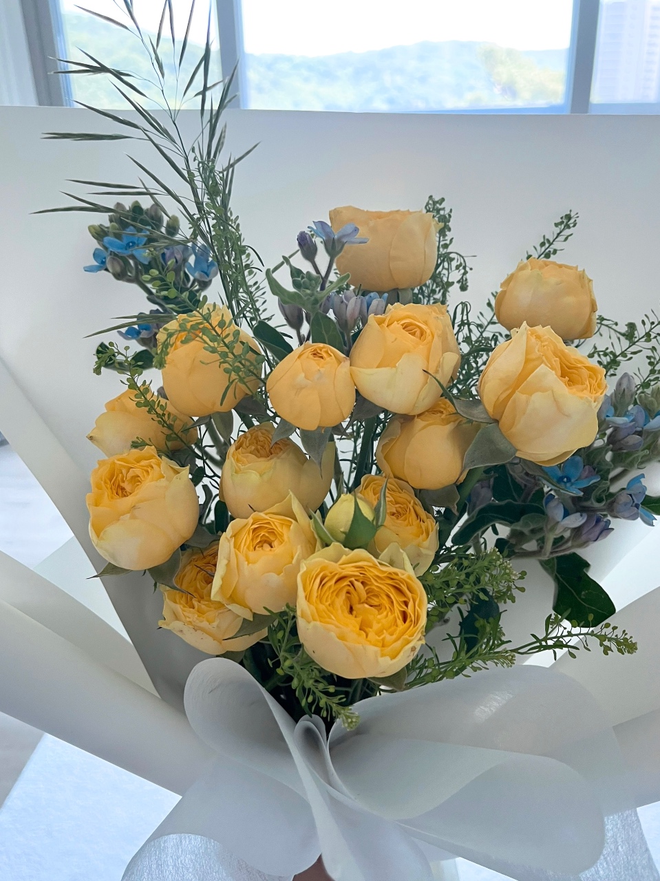햇살같은 노란 장미꽃💛