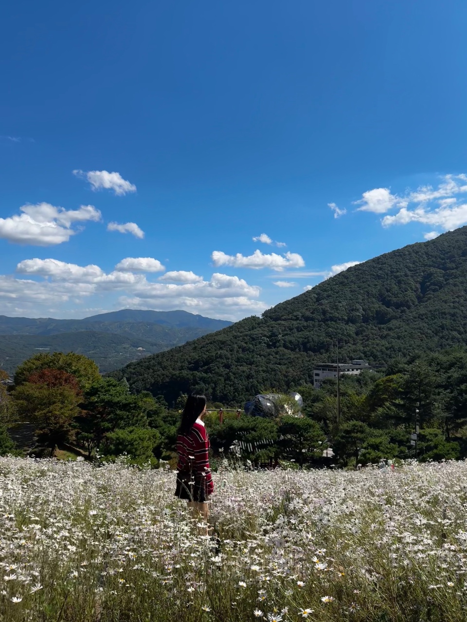 오늘의 하늘☁️