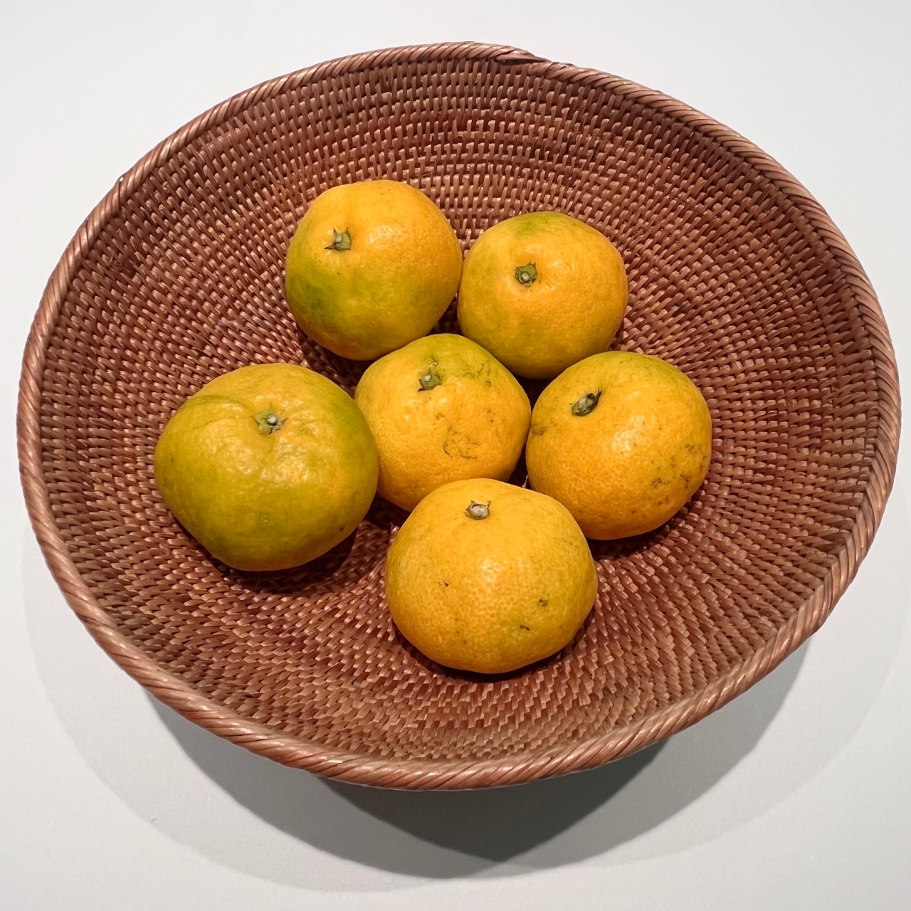 🍊제주 하우스 감귤