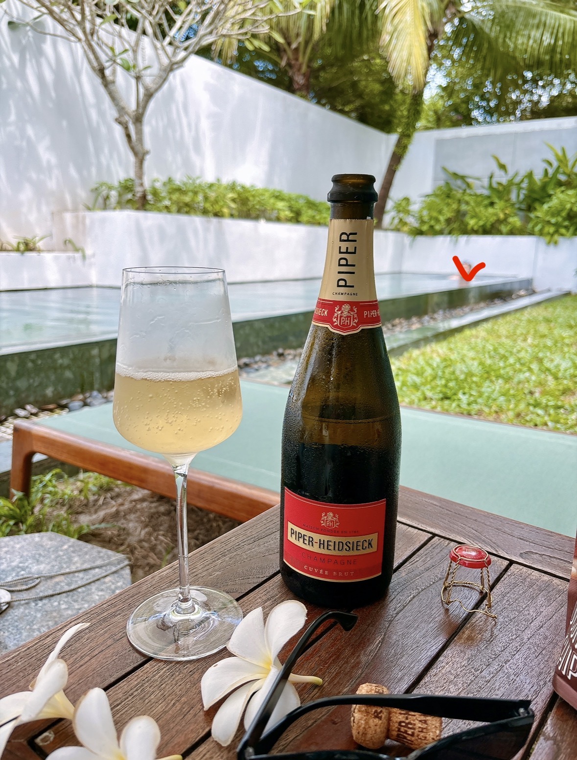 셩 샴 셩 샴🥂