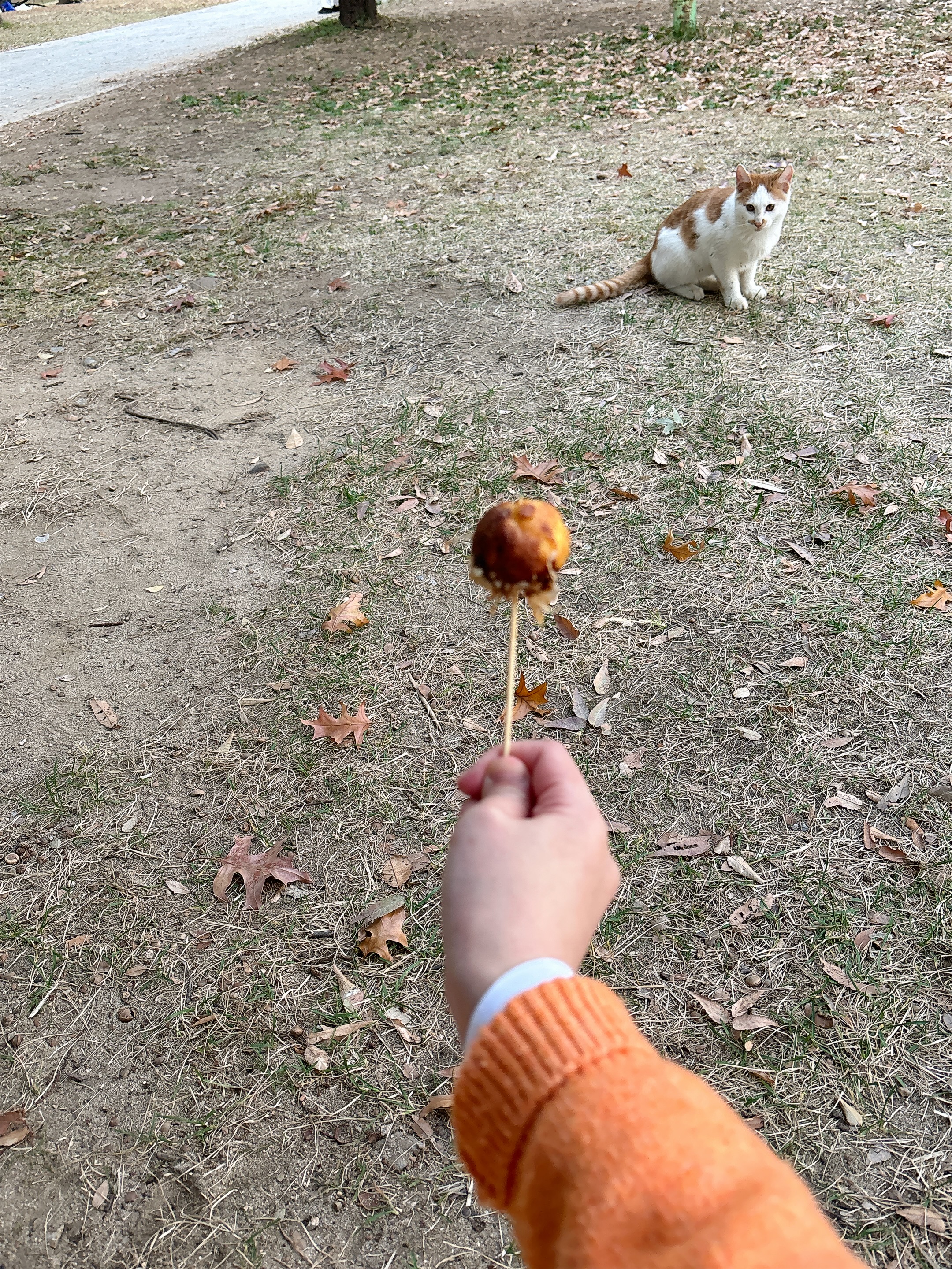 첨부파일