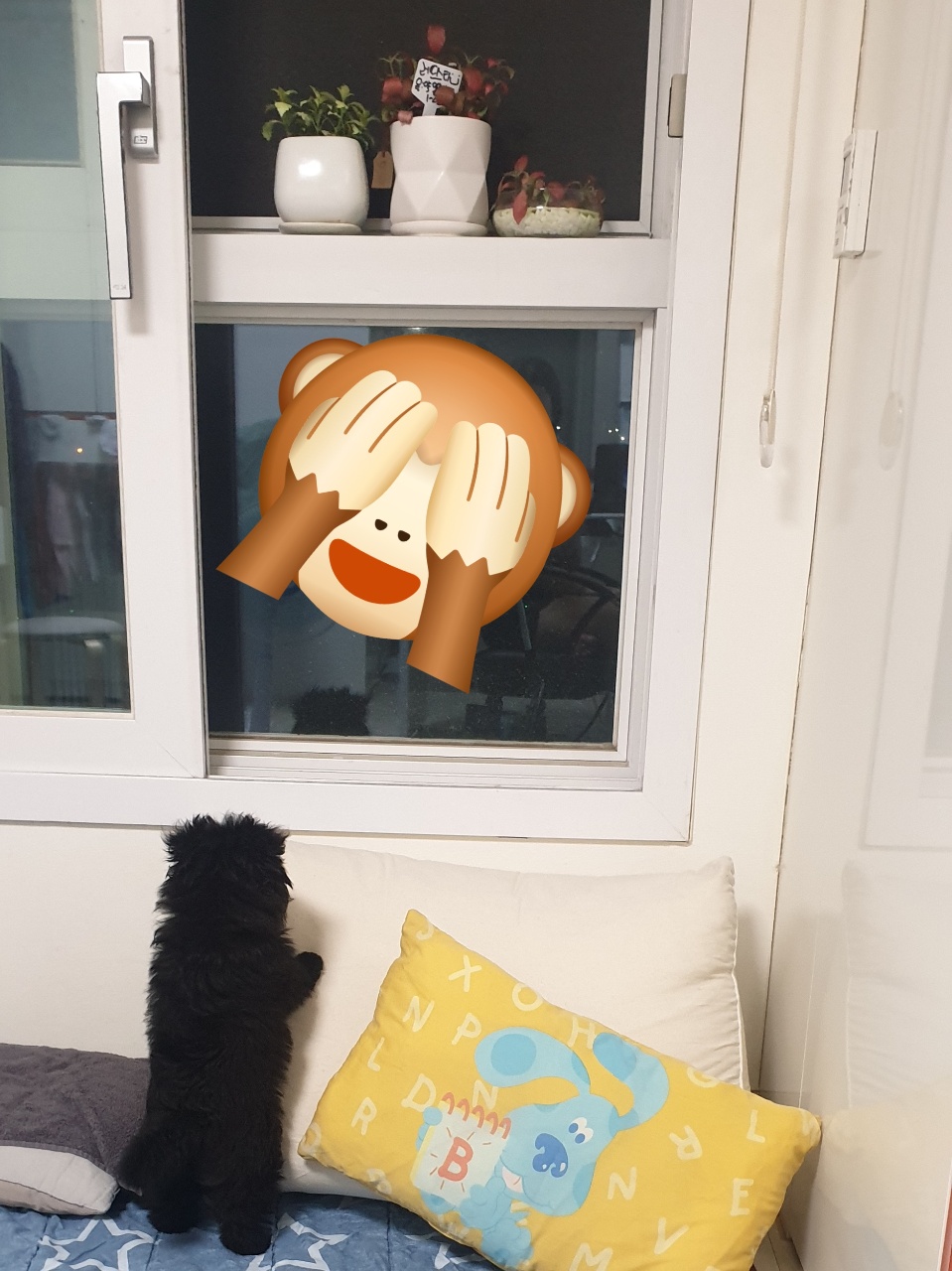 아 연쇄식물살인마라 이제는 식물 안키우지만...