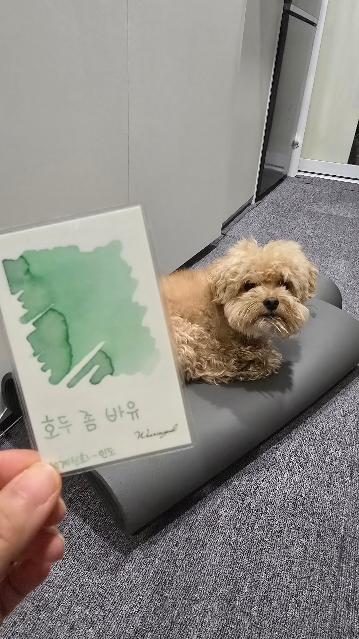 매트 못펴게 방해하는