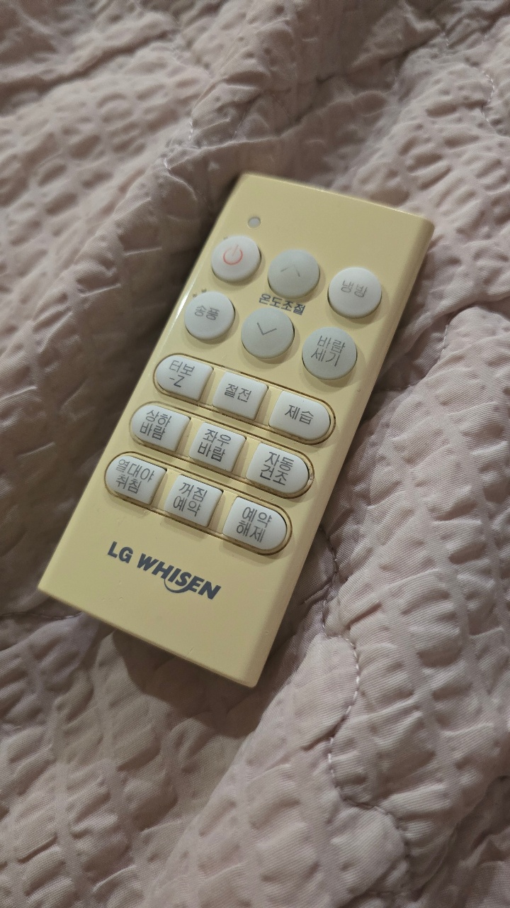 진짜 오래된 울집 리모콘