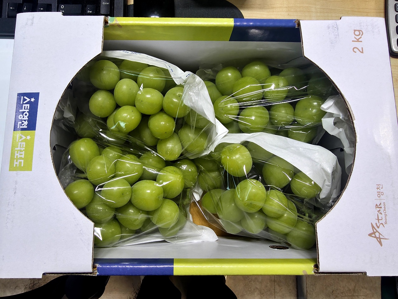 샤인머스캣 넘 맛있어요