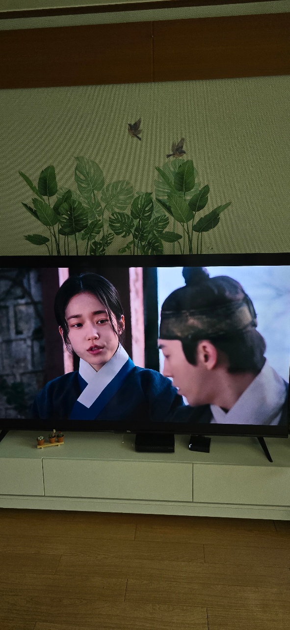 벽에 붙은 식물 그림 위 TV에서 드라마 장면이 재생 중