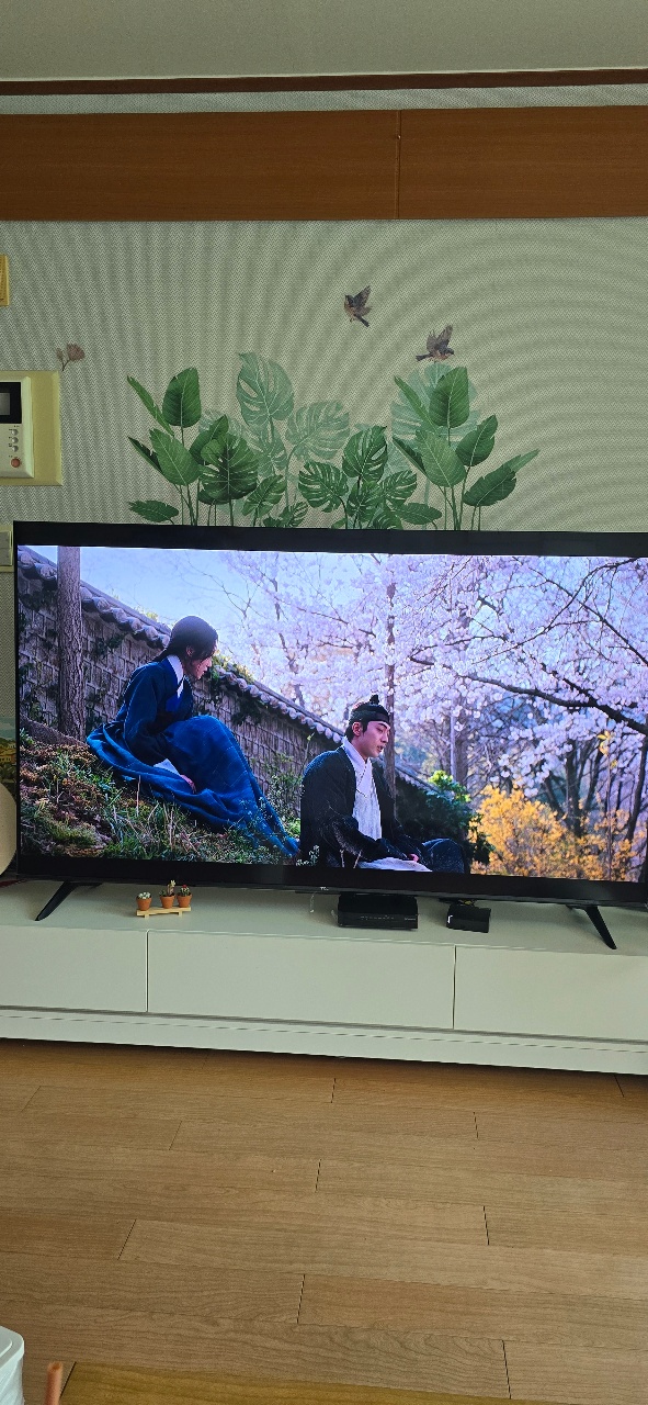 거실 벽에 붙은 식물 벽지 위에 TV가 놓여 영상을 재생 중이다.