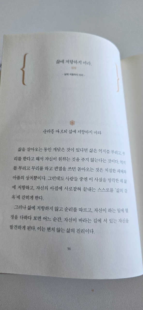 삶에 저항하지마라