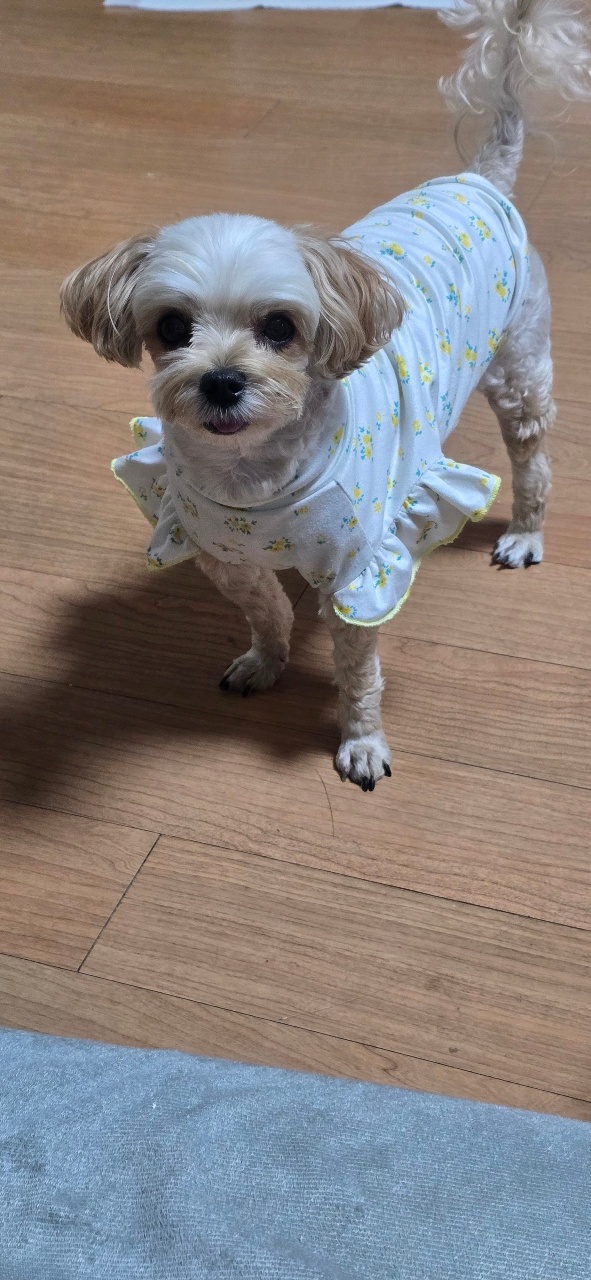 산책나가자고