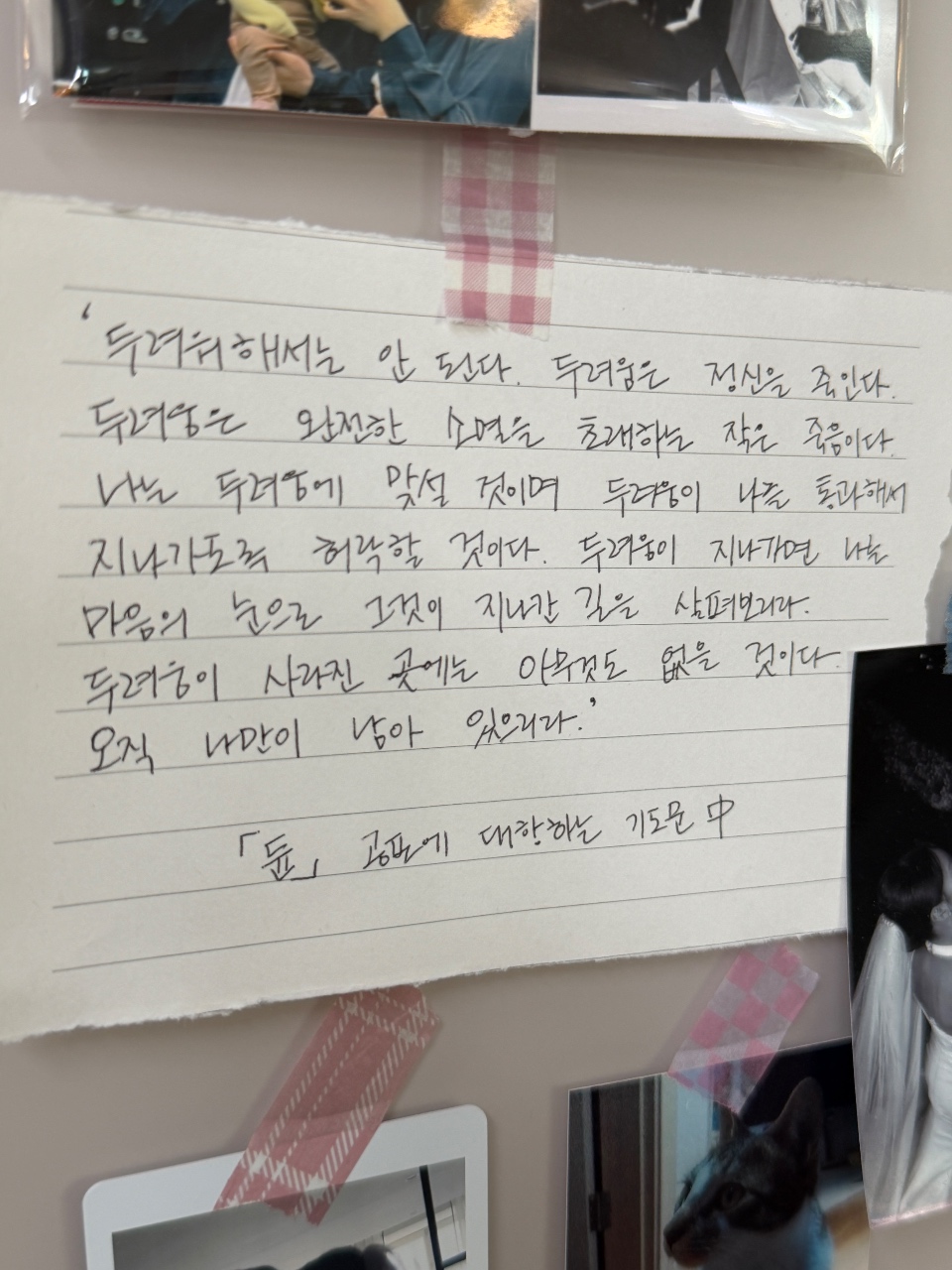 여러분들은 즐겁게 봤던 책이 있나요?