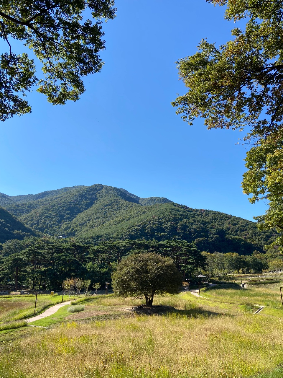날씨 너무 좋아요🌳🍃
