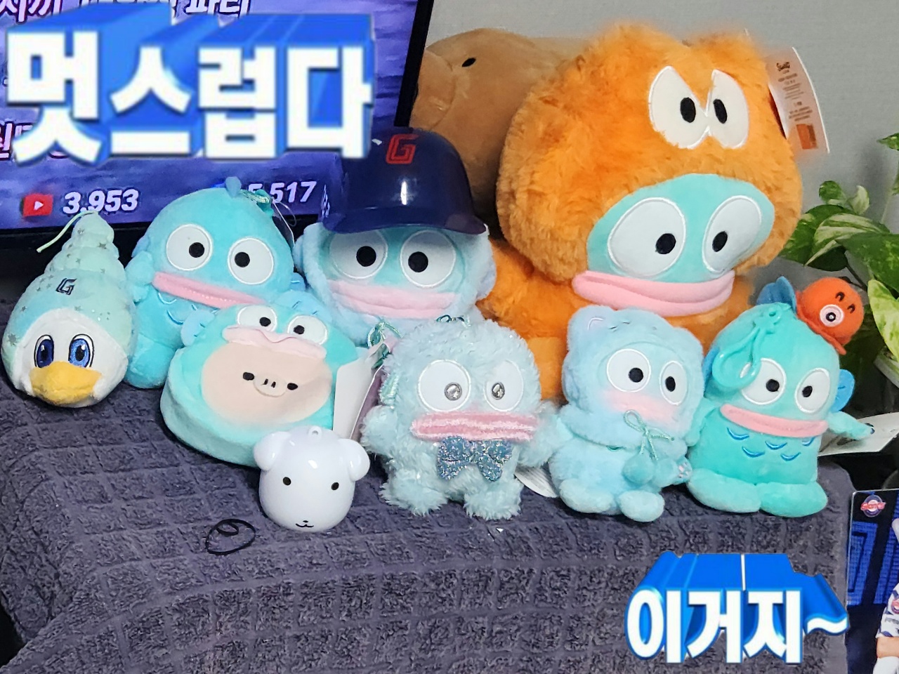 거실 한교동 존