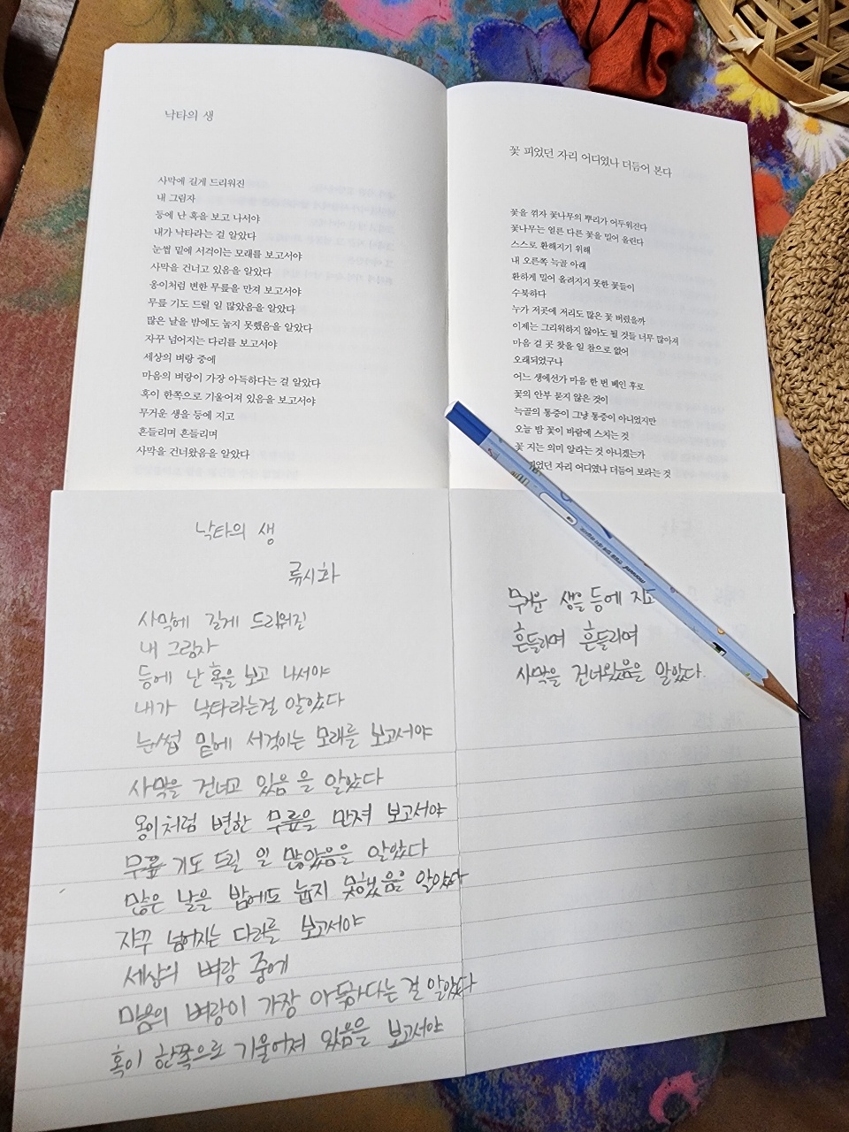챌린지 2일, 오늘의 시 : 류시화 시인의 낙타의 생