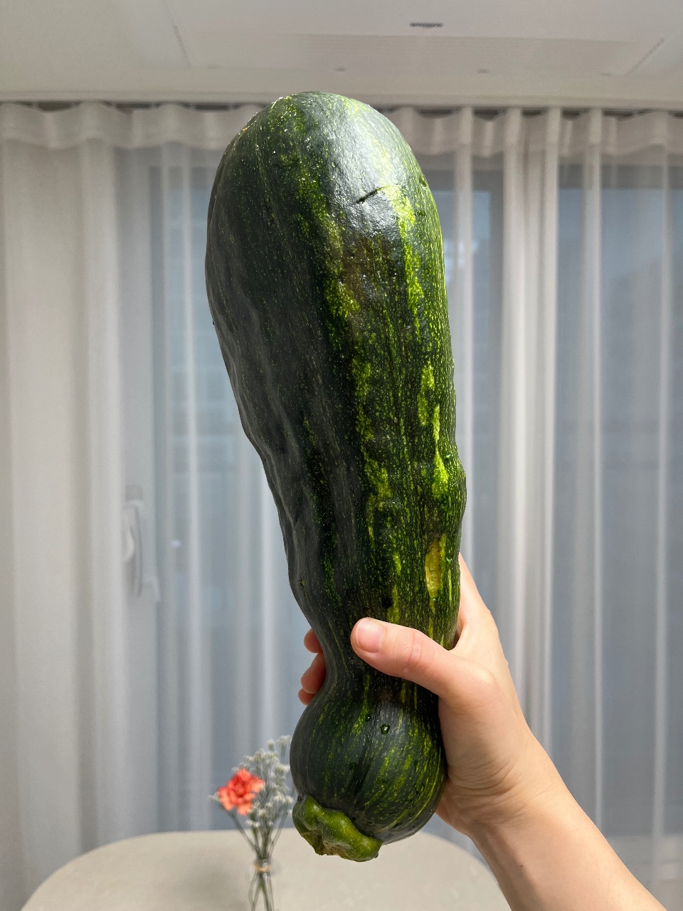 왕호박 어떻게 해먹으면 좋을까요🤭