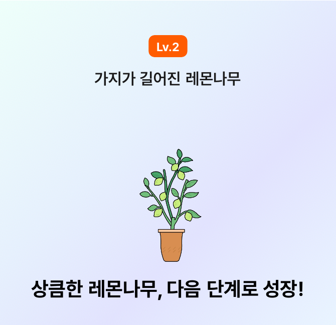 레몬나무 성장ㅎㅎ