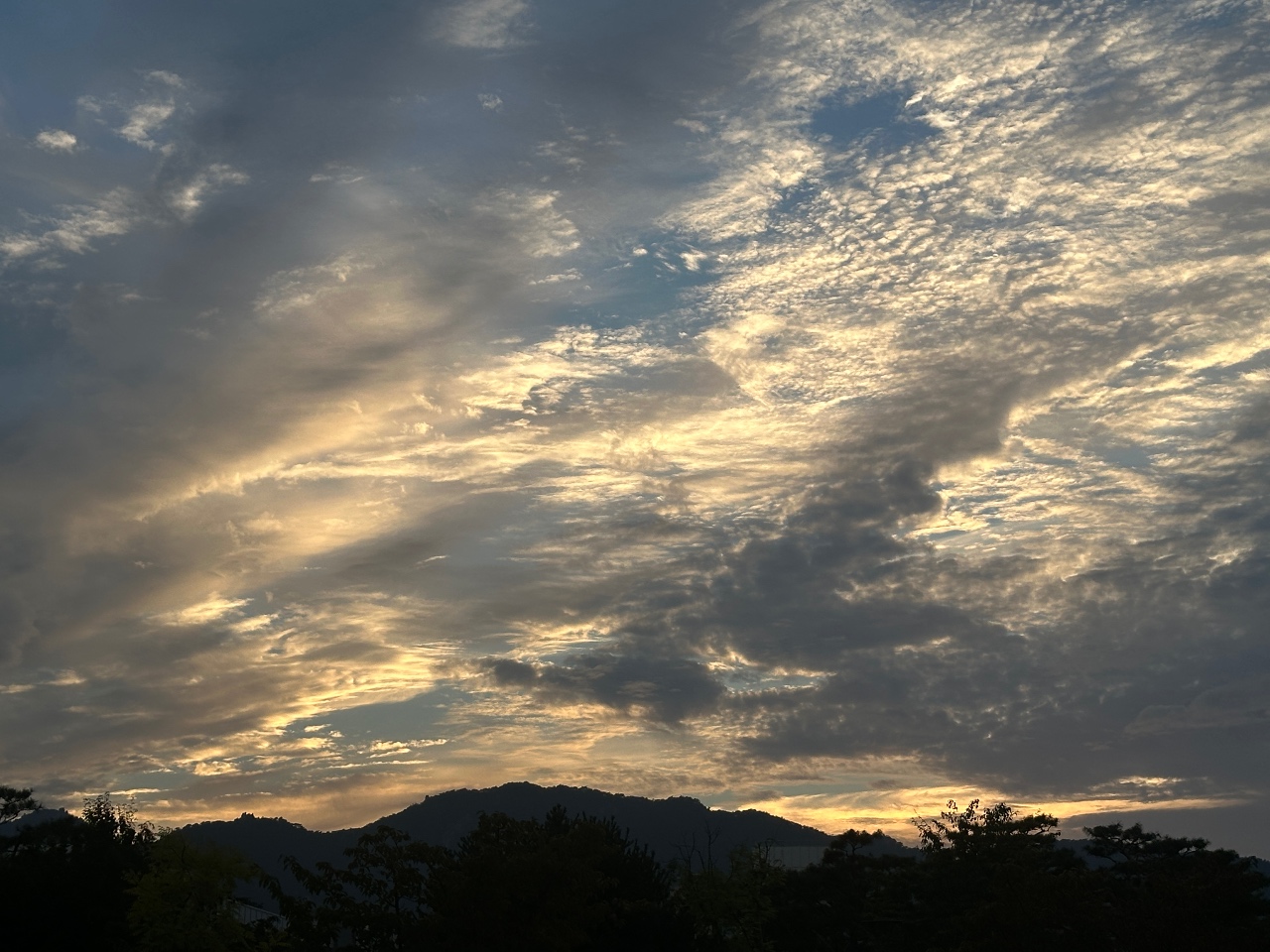 오늘 하늘이 너무 예뻤어요 ☁️