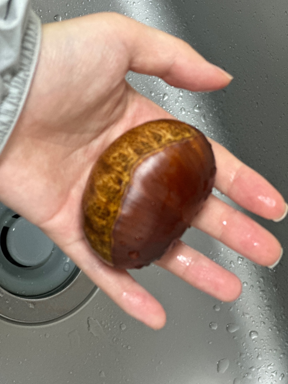 🌰🌰🌰🌰🌰🌰밤이 왔어요