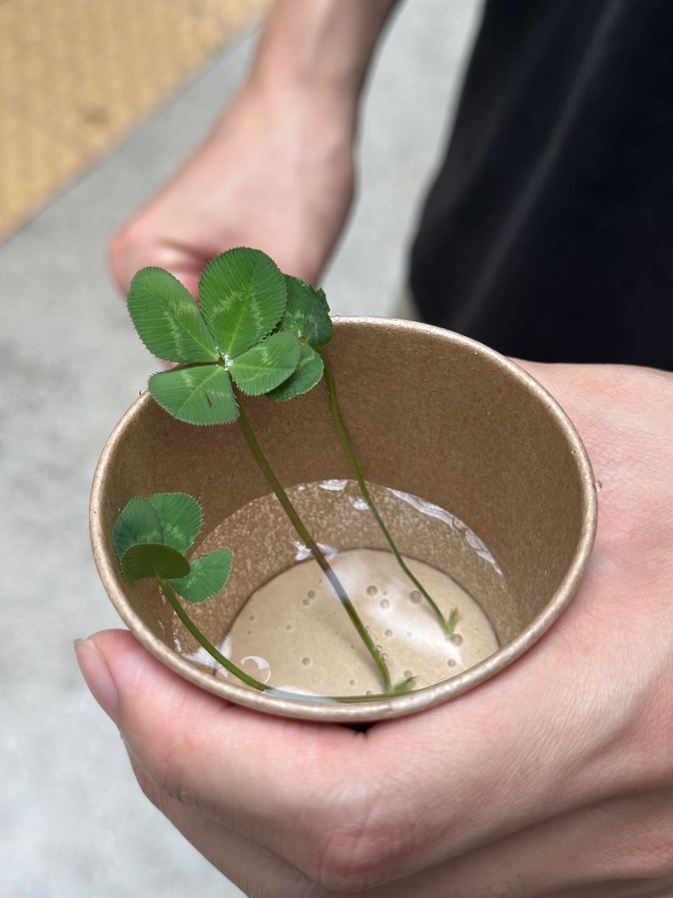 네일 클로버 발견!🍀