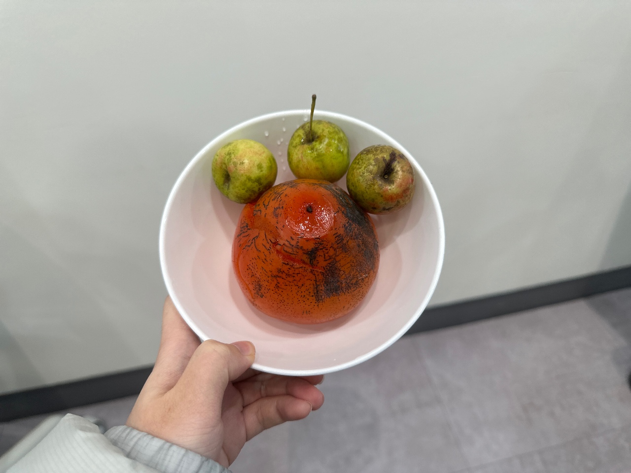 🍊홍시랑 사과랑 🍏