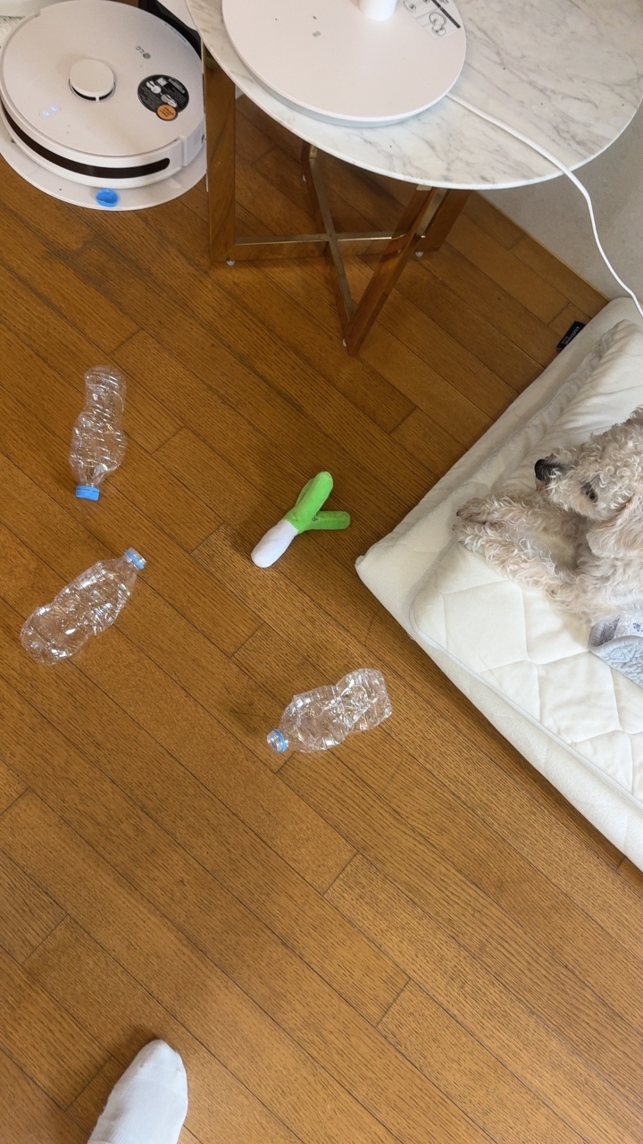사고친 가나디