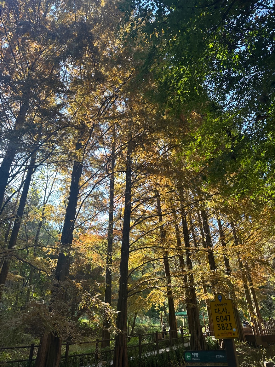 청계산 다녀왔어요⛰️