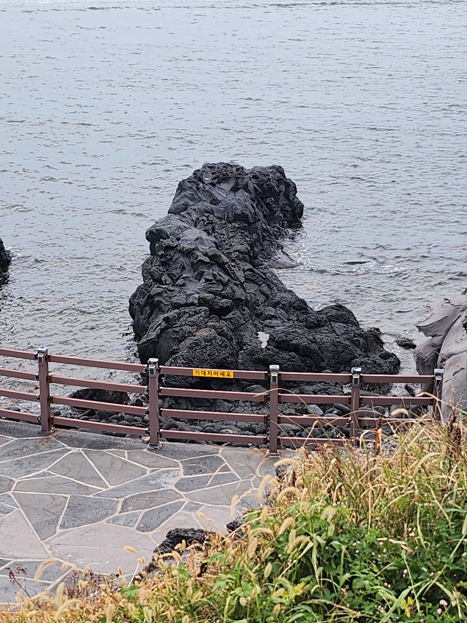 무엇으로 보이나요