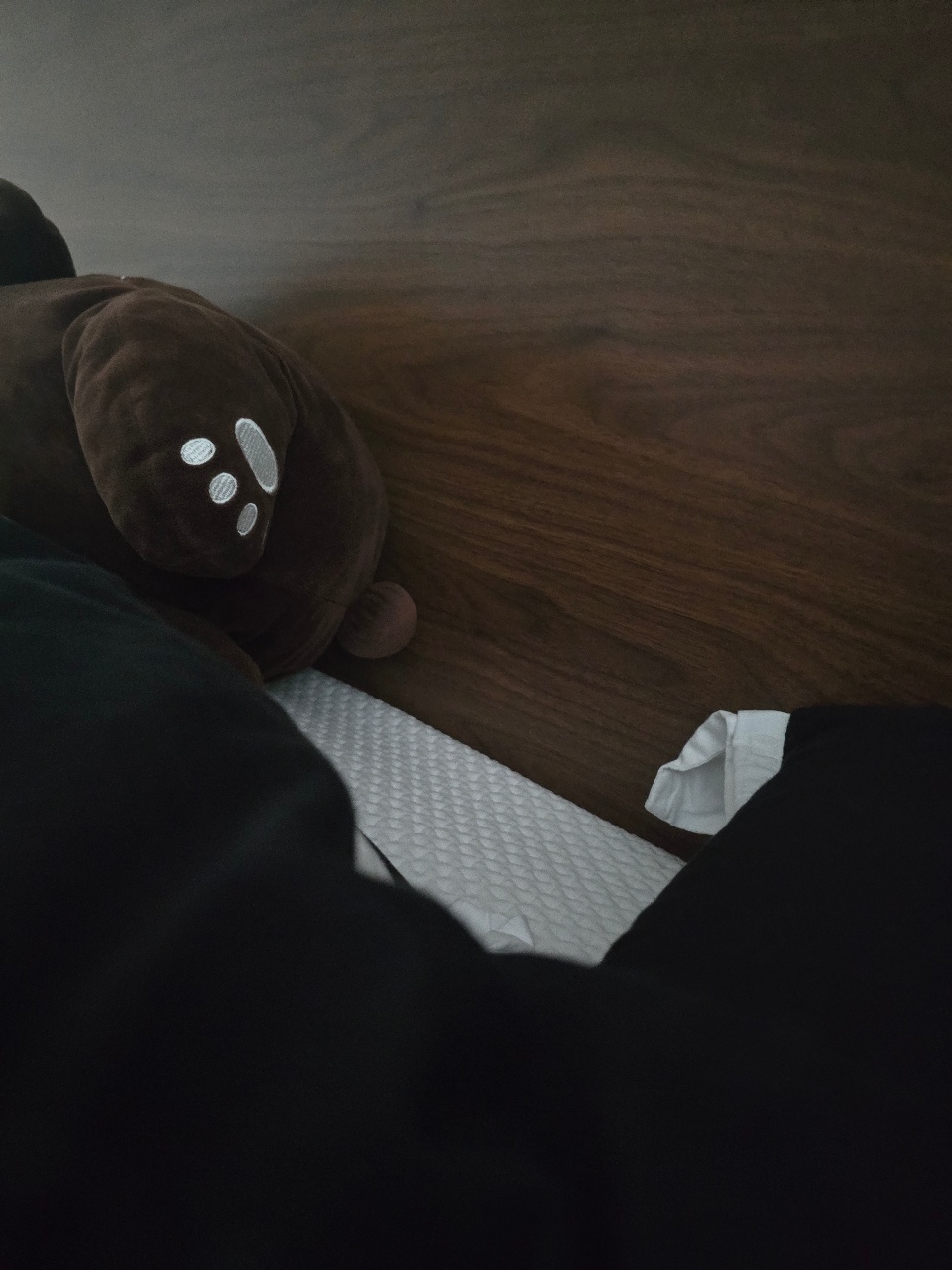 집밖은 위험해