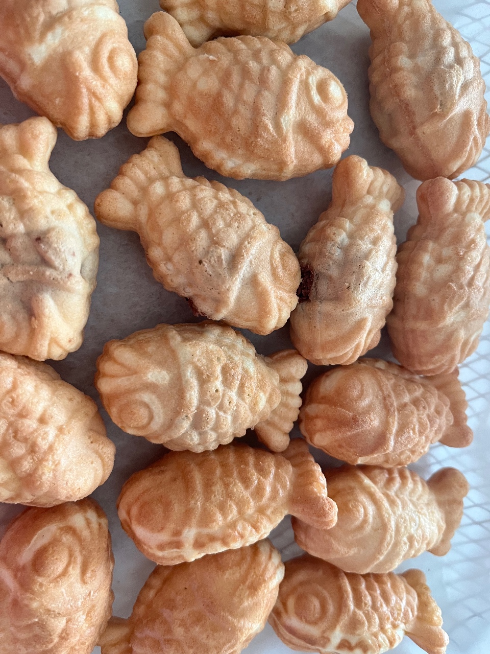 붕어빵🤩