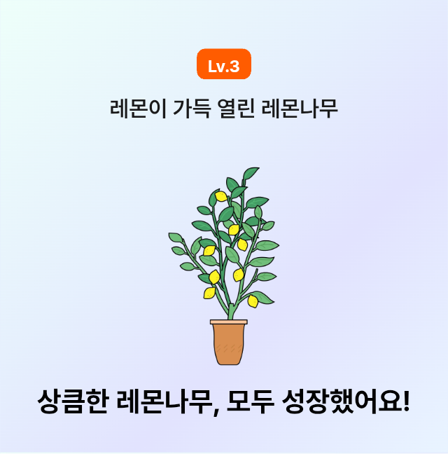 레몬나무가 다 자랐네요😆