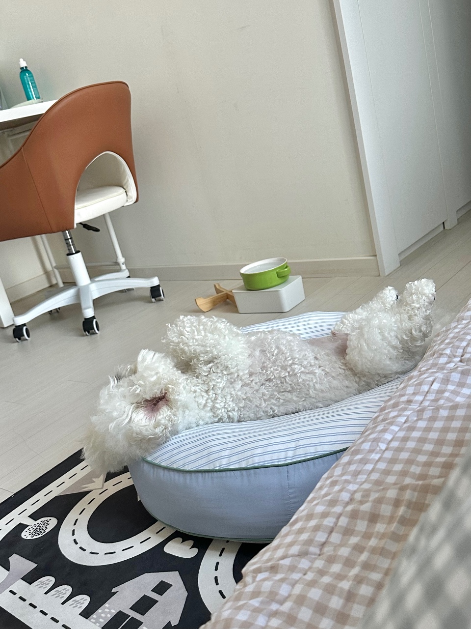 강아지 기절 방석