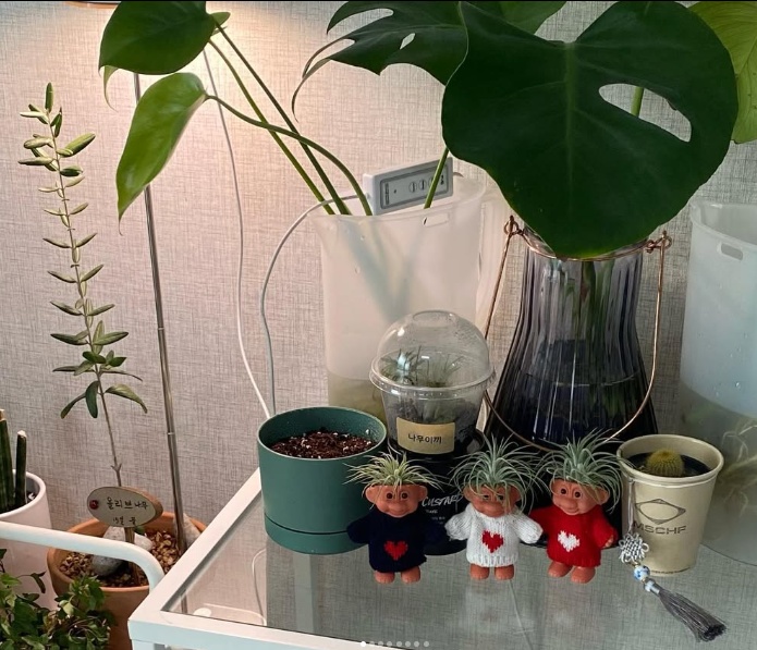 라이프집 뉴비 인사 올립니더... 🙏🏻