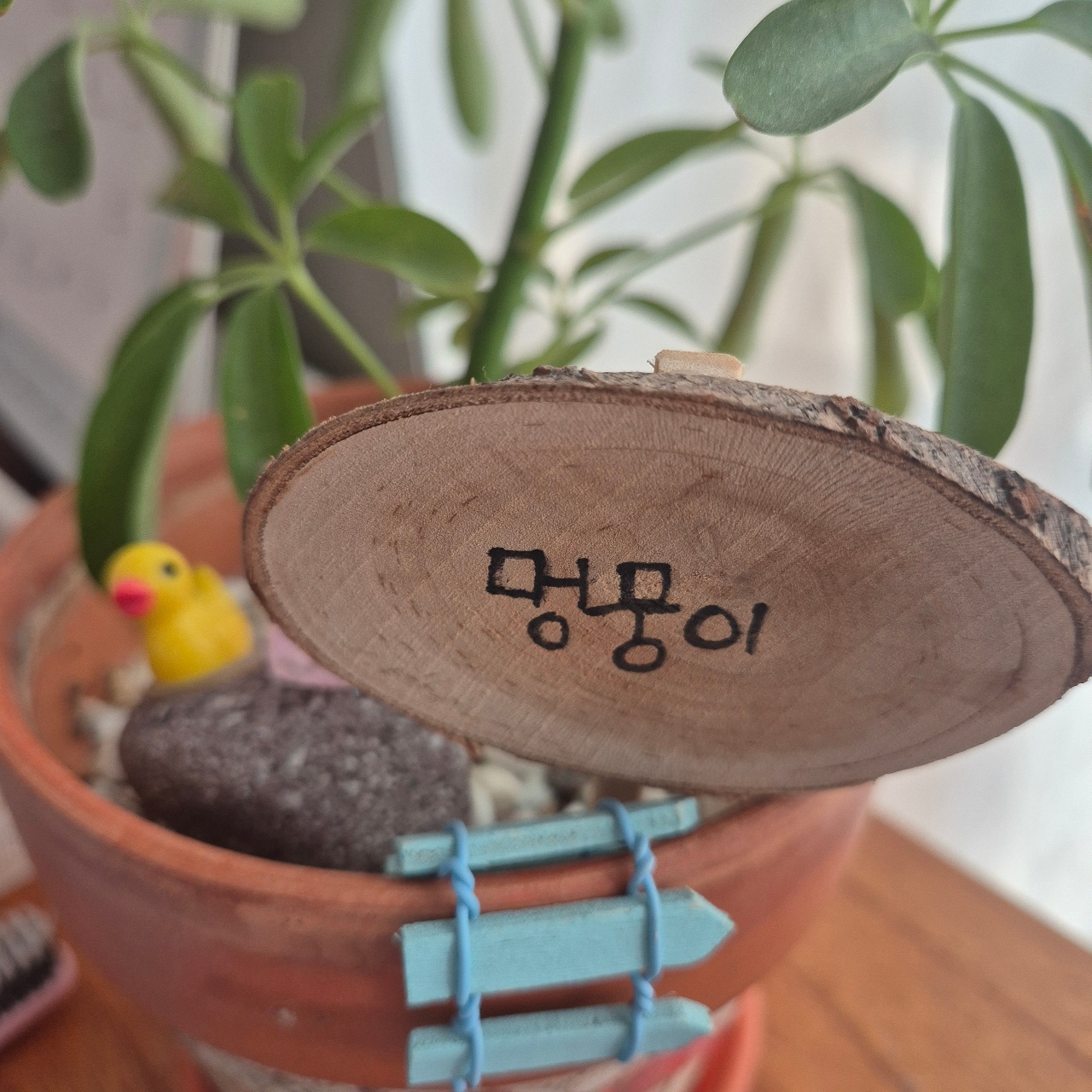 아들작품