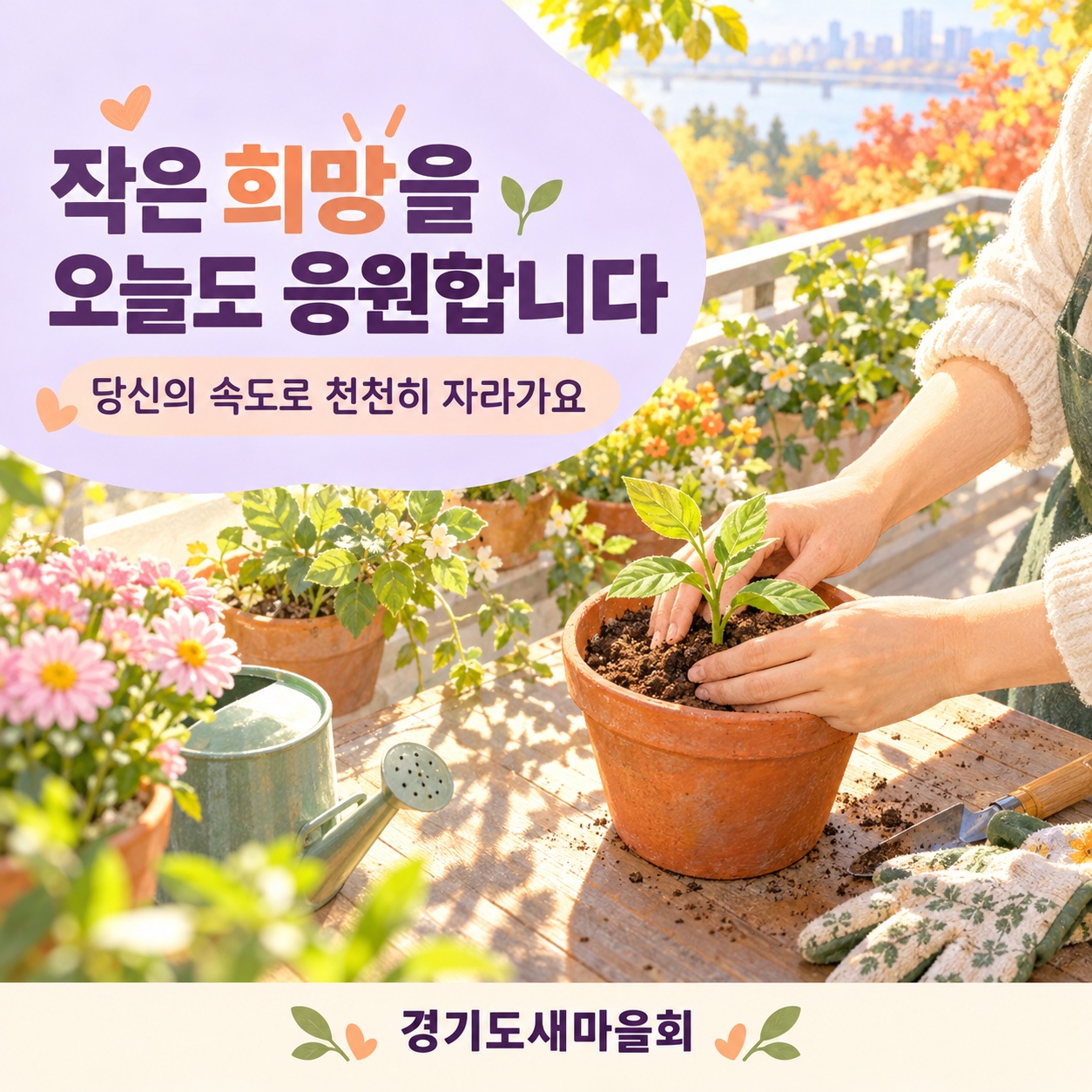 아무거나 - 작은 희망을 오늘도 응원합니다